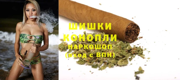 крисы Белокуриха