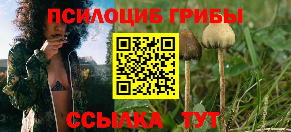 Надым  Псилоцибиновые грибы Magic Shrooms  Вход с VPN  Псилоцибиновые грибы мицелий 